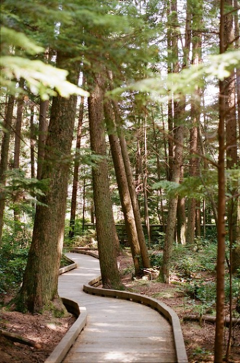 Canon EOS 3; EF 50mm f/1.2L; Portra 400; 1st Roll