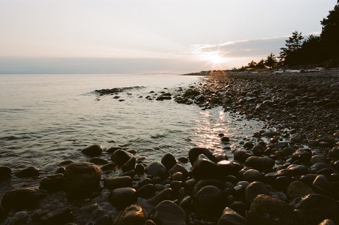 Canon EOS 3; EF 50mm f/1.2L; Portra 160