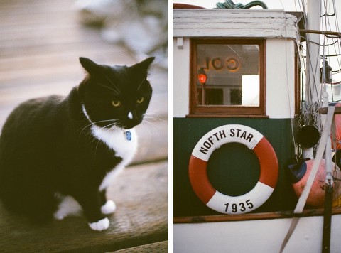 Canon EOS 3; EF 50mm f/1.2L; Kodak 400GC