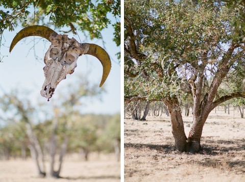 Canon EOS 3; EF 50mm f/1.2L; Fuji 400H