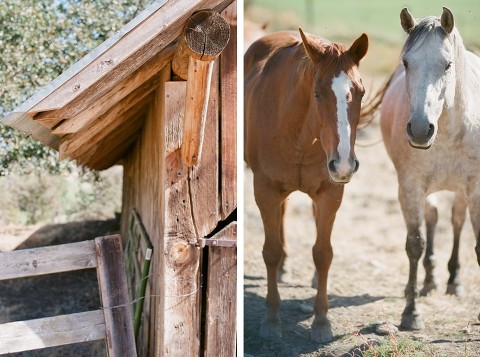 Canon EOS 3; EF 50mm f/1.2L; Fuji 400H