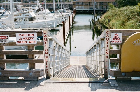 Canon EOS 3; 50mm f/1.2L; Portra 400