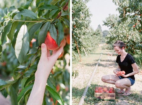 Canon EOS 3; 50mm f/1.2L; Fuji 400H