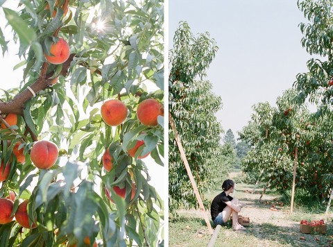 Canon EOS 3; 50mm f/1.2L; Fuji 400H