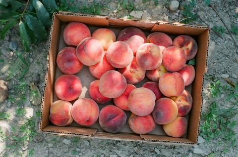 Canon EOS 3; 50mm f/1.2L; Fuji 400H